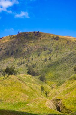 A picturesque landscape of rolling hills with vibrant green grass under a dramatic blue sky and fluffy white clouds. clipart