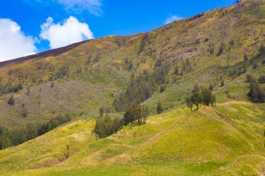 Dramatik mavi gökyüzü ve tüylü beyaz bulutların altında yeşil çimlerle kaplı yuvarlanan tepelerin resimsel bir manzarası..