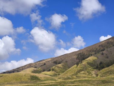 A picturesque landscape of rolling hills with vibrant green grass under a dramatic blue sky and fluffy white clouds. clipart