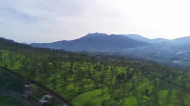 Telaga Menjer, Wonosobo 'nun nefes kesici hava manzarası. Etrafı yemyeşil ormanlarla, çay tarlalarıyla çevrili sakin bir göl ve yuvarlanan tepelerin arasına yerleşmiş dağınık konaklama yerleri sergiliyor..