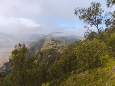 Yoğun bitki örtüsüne sahip sisli bir dağ manzarası ve Bromo Dağı, Endonezya yakınlarındaki bir ağaçlık çizgisi.