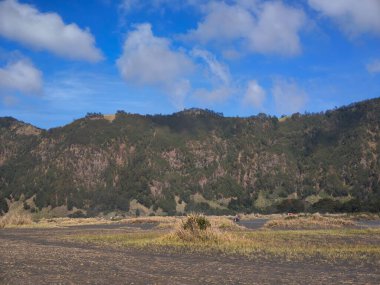 Bromo Tengger Semeru Ulusal Parkı 'nın görkemli manzarası. İkonik Bromo Dağı kendine özgü krateriyle dimdik ayakta duruyor. Etrafı geniş bir volkanik kum ve açık mavi bir gökyüzü ile çevrili.