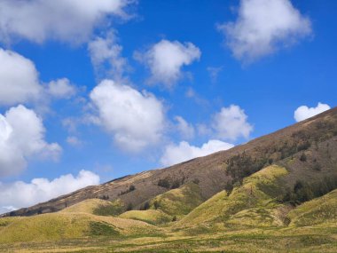 Bromo Tengger Semeru Ulusal Parkı 'nın görkemli manzarası. İkonik Bromo Dağı kendine özgü krateriyle dimdik ayakta duruyor. Etrafı geniş bir volkanik kum ve açık mavi bir gökyüzü ile çevrili.