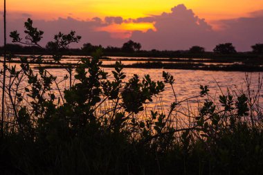 Altın gün batımı gökyüzünü boyar ve sakin suyu yansıtır, uzak pirinç tarlalarının üzerine sıcak bir parıltı saçar..