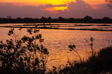Altın gün batımı gökyüzünü boyar ve sakin suyu yansıtır, uzak pirinç tarlalarının üzerine sıcak bir parıltı saçar..
