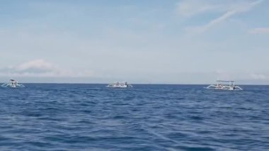 18 Kasım 2024. Bali, Endonezya. Heyecanlı turistler, Lovina, Kuzey Bali denizinde sıçrayan ve dalış yapan yunusların inanılmaz manzarasına tanıklık etmek için motorlu teknelere biniyorlar..