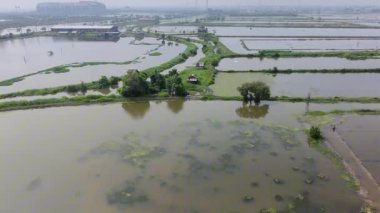 Endonezya, Surabaya 'da geniş bir kırsal manzara manzarası. Sahne birbirine bağlı tuz göletleri ve su yolları ağı tarafından yönetiliyor..