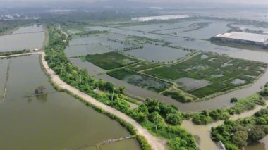 Endonezya, Surabaya 'da geniş bir kırsal manzara manzarası. Sahne birbirine bağlı tuz göletleri ve su yolları ağı tarafından yönetiliyor..