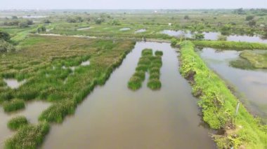 Endonezya, Surabaya 'da geniş bir kırsal manzara manzarası. Sahne birbirine bağlı tuz göletleri ve su yolları ağı tarafından yönetiliyor..