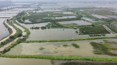 Endonezya, Surabaya 'da geniş bir kırsal manzara manzarası. Sahne birbirine bağlı tuz göletleri ve su yolları ağı tarafından yönetiliyor..