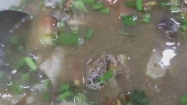 Cirebon, Endonezya 'dan geleneksel bir sığır çorbası olan empal gentong' un yakın plan görüntüsü, yemeden önce kaşıkla karıştırılıyor..