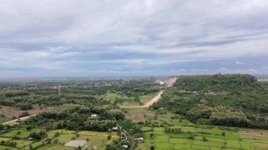 Endonezya 'nın Doğu Java bölgesindeki Gresik köyünde bulutlu bir gökyüzünün altında arka planda bir tepe bulunan yemyeşil pirinç tarlalarının hava manzarası..
