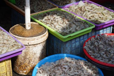 Taze çiğ karides, deniz ürünleri pazarında buzlu renkli tepsilerde sergileniyor. Tazelik ve çeşitliliği ön plana çıkarıyor..