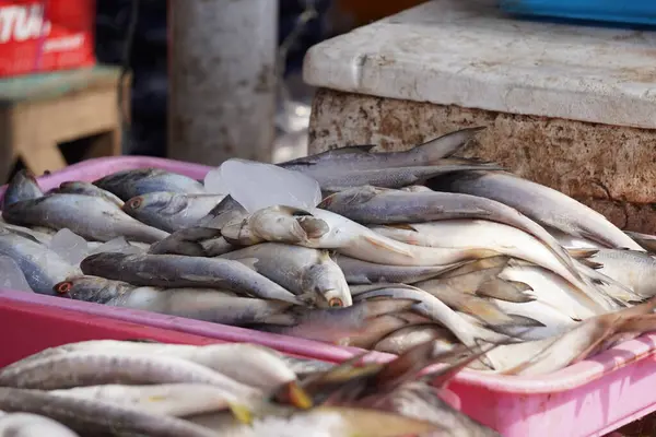 Pazardaki pembe tepside buzda sergilenen taze balık, satılmaya hazır..