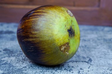 Kabuğu soyulmamış bir palmira meyvesi, koyu, lifli bir kabuğu ve açık renk bir üstü olan Borassus flabellifer, bulanık ahşap arka planı olan gri taş bir yüzeye karşı dizilmiş..