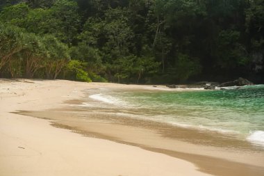 Nazik dalgalar, el değmemiş kum ve yoğun tropikal yapraklar içeren el değmemiş gizli bir koy..