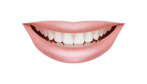  Parlak pembe dudakları ve beyaz dişleri olan bir kadın gülüşünün gerçekçi ve güzel üç boyutlu çizimi. Diş, kozmetik ya da oral bakım temaları için mükemmel. Bir beyazda izole edilmiş.