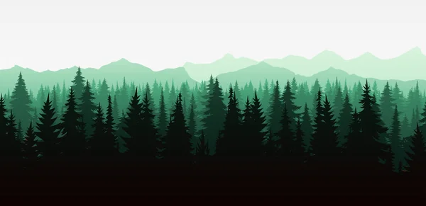 Красивая Векторная Иллюстрация Туманного Лесного Пейзажа Хвойными Деревьями Силуэте Вечно — стоковый вектор
