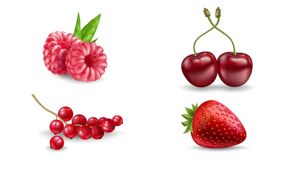 Set Vector Realistic Berries Isolated White Background Strawberry Raspberry Cherry — Stock Vector