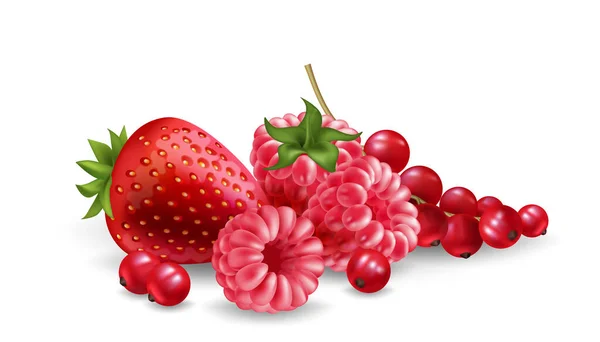 Tas Vibrant Framboises Fraises Groseilles Rouges Illustration Fruits Frais Juteux — Image vectorielle