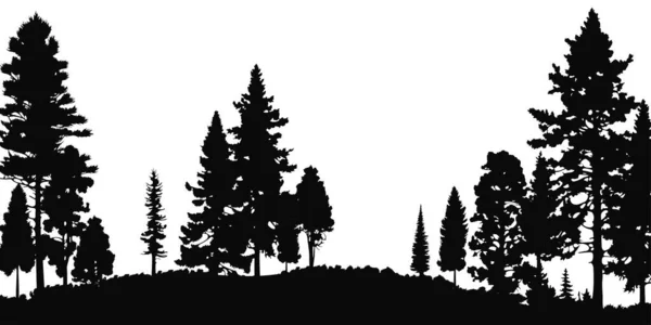 Векторная Иллюстрация Природы Черных Силуэтов Сосен Белом Фоне Перфект Лесной — стоковый вектор