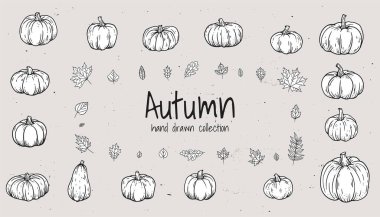 El çizimleri, şirin balkabakları, meşe yaprakları ve su kabaklarından oluşan klasik bir Şükran Günü koleksiyonu. Sonbahar dekorasyonu ve retro sonbahar tasarımı için ideal, mevsimin özü. Yapay zeka değil