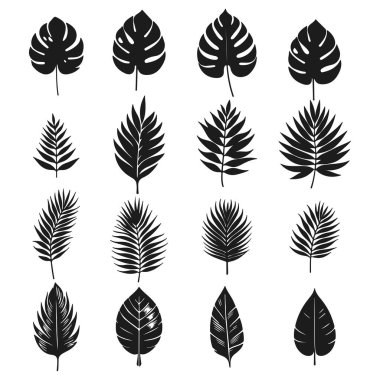 Egzotik yapraklar yaz ve orman tasarımları için izole tropikal bitki çizimleri topluyor. Canavar, palmiye yaprakları ve diğer botanik elementler bereketli, dekoratif ve doğal bir ortam yaratır. Yapay zeka değil.