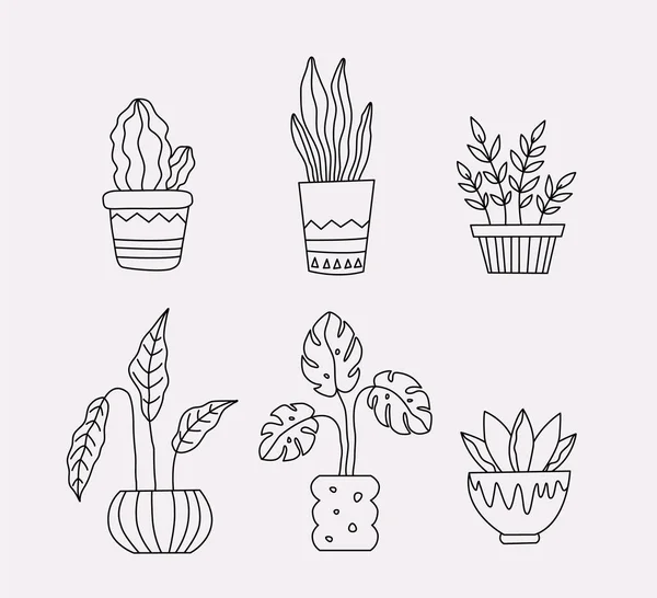 花盆中的一组家庭植物 盆栽家庭植物的草图 白色背景上的矢量孤立图 — 图库矢量图片