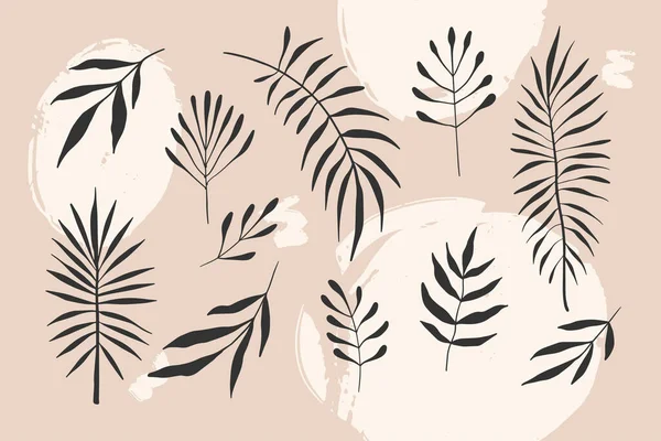 一套简单的热带分支轮廓 病媒分离的小枝 草本植物 白色背景上的黑色元素 夏季设计 图案制作 — 图库矢量图片