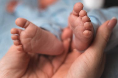Yeni doğmuş bir bebeğin küçük ayaklarını nazikçe tutan bir ebeveynin ellerinin yakın plan çekimi. Bebek mavi bir battaniyeye sarılmış, yumuşak, bulanık bir arka planı var..