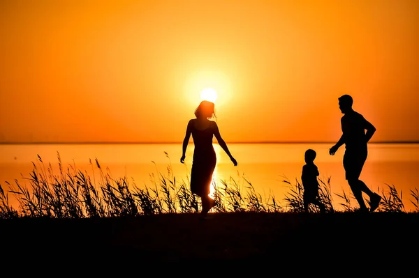 幸せな家族 母親の父と息子のシルエット夕日を背景に歩いてください 海でオレンジの夕日 日没後のシルエット背景 — ストック写真