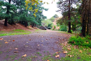 Los Angeles, Griffith Park 'ın Bronson Canyon Bölümü' nün detaylı görüntüsü.