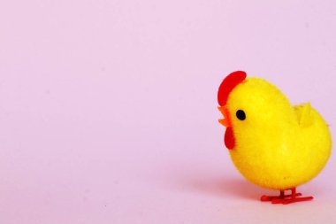 Komik bir piliçle Paskalya Kompozisyonu