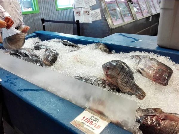 市場で獲れた新鮮な魚は — ストック写真