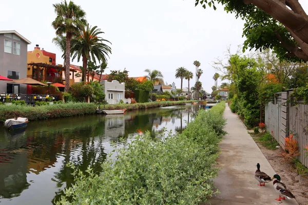 Venice Los Angeles Kalifornia Maja 2019 Widok Venice Canals Zabytkowy — Zdjęcie stockowe