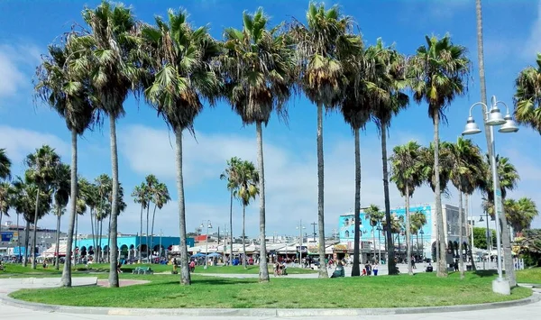 Venecia Los Ángeles California Septiembre 2018 Vista Muscle Beach Venice — Foto de Stock