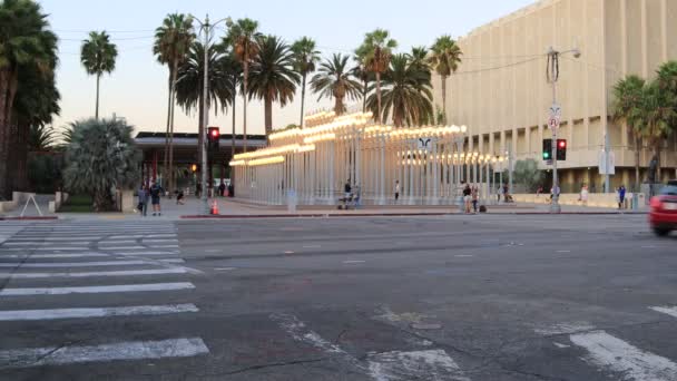 Лос Анджелес Калифорния Октября 2019 Года Lacma Los Angeles County — стоковое видео