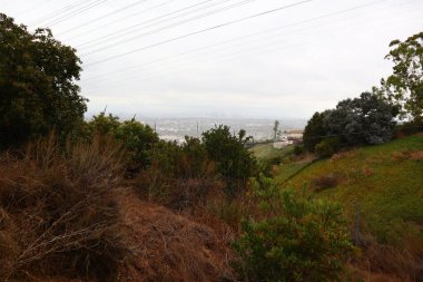 Los Angeles, Kenneth Hahn Eyalet Rekreasyon Bölgesi 'nin detaylı görüntüsü. Los Angeles 'ın Baldwin Hills Dağları' ndaki Kaliforniya Eyalet Parkı birimi.