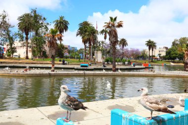 Los Angeles, California - 16 Mayıs 2019: Los Angeles 'ın Westlake mahallesindeki MacArthur Park manzarası