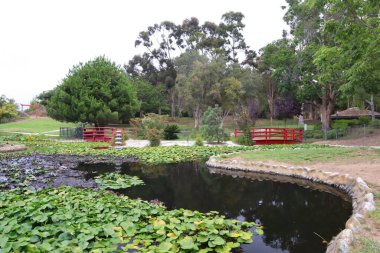 Kenneth Hahn Eyalet Parkı Dinlenme Alanı 'ndaki Japon Bahçesi Culver City, Los Angeles, Kaliforniya