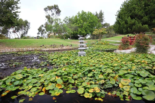 Japonská Zahrada Státním Parku Kenneth Hahn Rekreační Areál Culver City — Stock fotografie