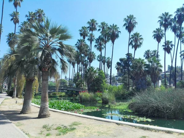 Los Angeles California Вересня 2018 Echo Park Лос Анджелесі Каліфорнія — стокове фото
