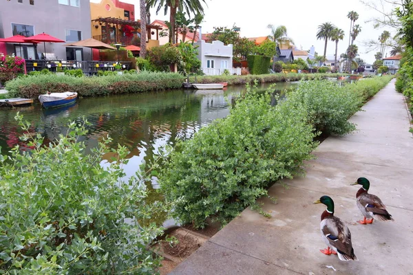 Venice Los Angeles Kalifornia Maja 2019 Widok Venice Canals Zabytkowy — Zdjęcie stockowe