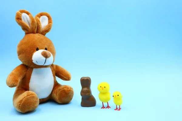 Composizione Pasqua Divertente Con Teddy Bunny — Foto Stock