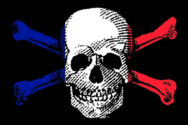 Skull Crossbones Estilo Pirata Con Bandera Francia — Foto de Stock