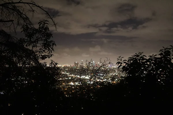 ロサンゼルスのスカイライン 木の枝を眺めながら夜のパノラマ — ストック写真