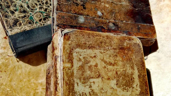 Старые Антикварные Книги Образование — стоковое фото