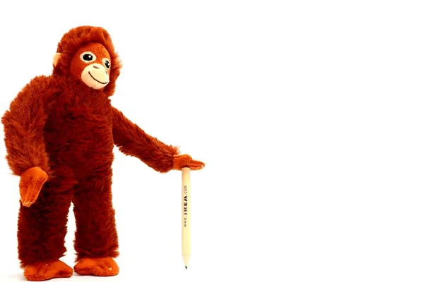 Пескара Италия Сентября 2019 Года Ikea Soft Toy Djungelskog Orangutan — стоковое фото
