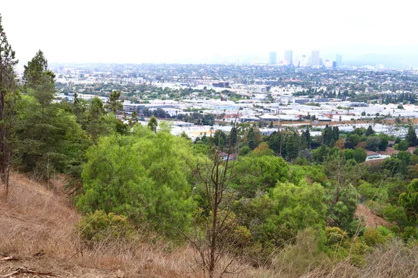 Японский Сад Зоне Отдыха Кеннет Хан Калвер Сити Лос Анджелес — стоковое фото