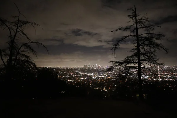 Los Angeles Skyline Night Time Panorama Com Vista Galhos Árvores — Fotografia de Stock